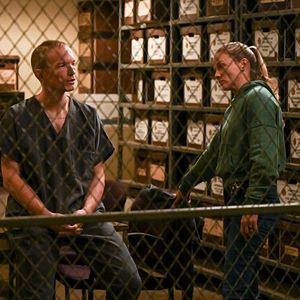 Photo Tracy Spiridakos