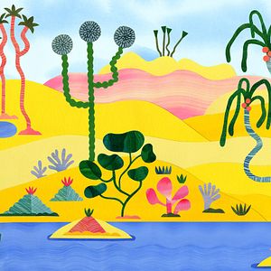 Photo La Naissance des oasis