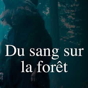 Photo Du sang sur la forêt