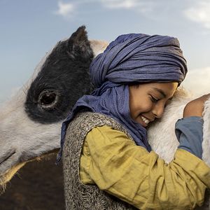 Photo Yassir Drief
