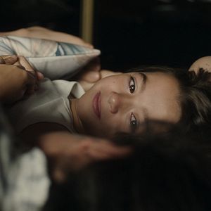 Photo 20 000 espèces d'abeilles