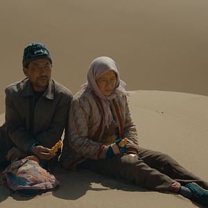 Photo Le Retour des hirondelles