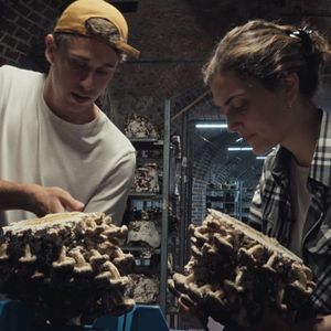 Photo La Belle ville