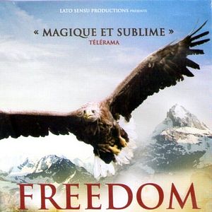 Photo Freedom, l’Envol d’un Aigle