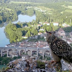 Photo Des cailloux dans la chaussure