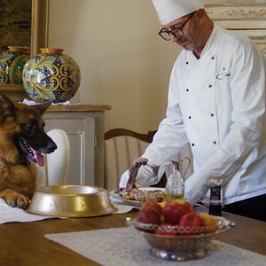 Photo Gunther, le chien qui valait des millions