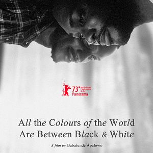 Photo Toutes les couleurs du monde