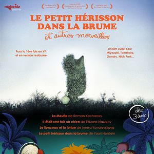 Photo Le Petit hérisson dans la brume et autres merveilles