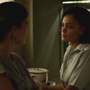 Photo Les larmes des papillons