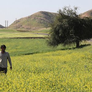 Photo Hadi Mohaghegh