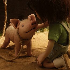 Photo Chonchon, le plus mignon des cochons