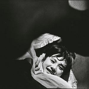 Photo Fleur pâle