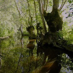 Photo De l'eau jaillit le feu
