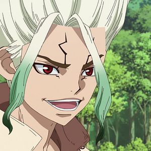 Photo Dr. STONE