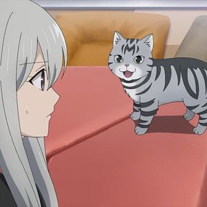 Photo Too Cute Crisis