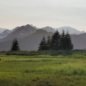 Photo Big Beasts : sur les traces des géants