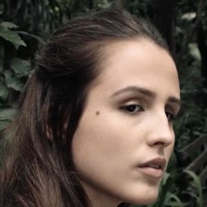 Photo Mata Atlântica
