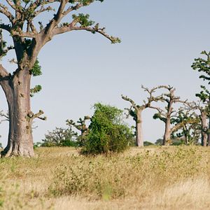 Photo Nadège Bibo-Tansia