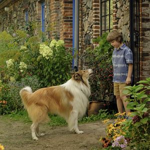 Photo Lassie - Ein neues Abenteuer