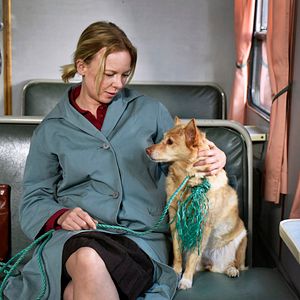 Photo Les Feuilles mortes