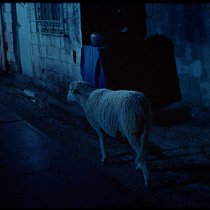 Photo Malgré la nuit