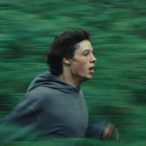 Photo Le Règne animal