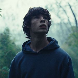 Photo Le Règne animal