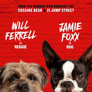 Photo Backstreet Dogs