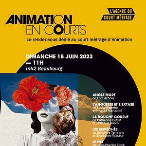 Photo Animation en courts