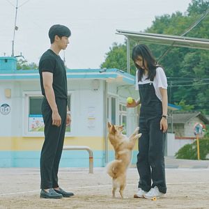 Photo Once Upon a Small Town