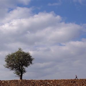 Photo Retour à la terre
