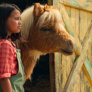 Photo La petite ferme enchantée