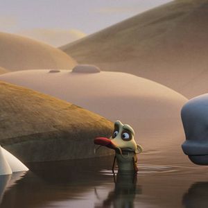 Photo Katak, le brave béluga