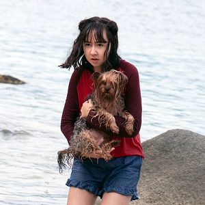 Photo Shuya Sophia Cai