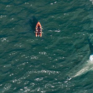 Photo En eaux très troubles