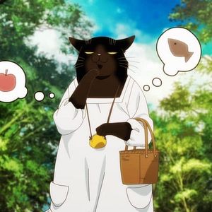 Photo Mon chat à tout faire est encore tout déprimé