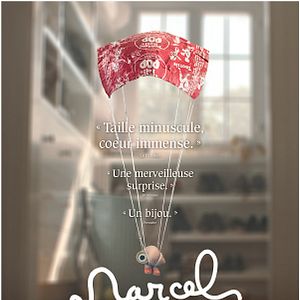 Photo Marcel le Coquillage (avec ses chaussures)