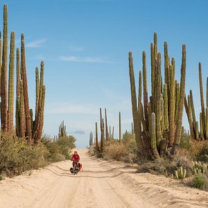Photo La Voix des Amériques, une aventure au cœur de l’humanité