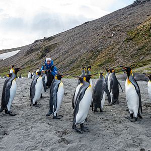 Photo Connaissance du monde : L’Antarctique - Aux confins de la planète