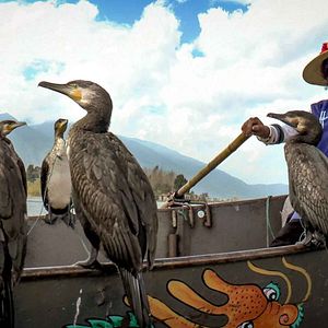 Photo Altaïr Conférences - Mékong, Au fil d'un fleuve mythique