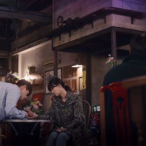 Photo When the camelia blooms