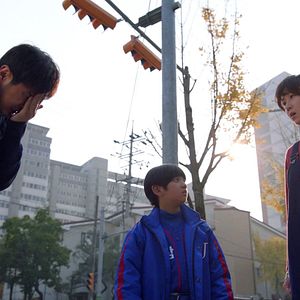Photo When the camelia blooms