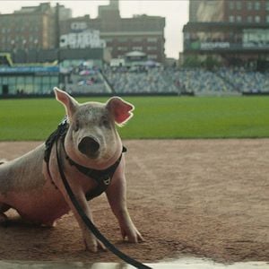 Photo Secondes chances : Le baseball, c'est sacré !