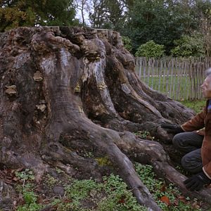 Photo Ricardo et la peinture