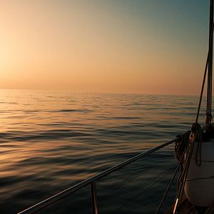 Photo Rorqual