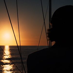 Photo Rorqual