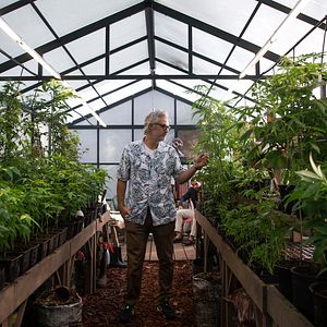 Photo Juan Pablo Medina