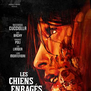 Photo Les Chiens enragés