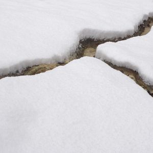 Photo Disturbed Earth