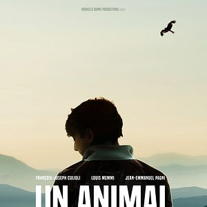 Photo Un animal